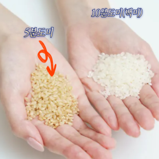 24년햅쌀 고인돌 강화섬쌀 오분도미 5분도쌀 쌀눈쌀 3kg(1kgx3개)_정미소직판