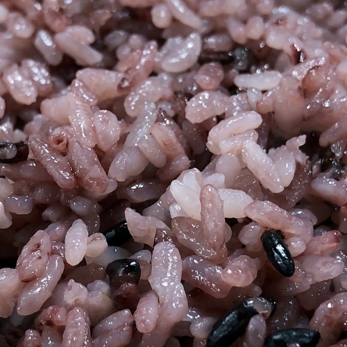 고인돌잡곡 강화산 김성호 깐찰흑미 깐흑미 깐검정쌀 500g