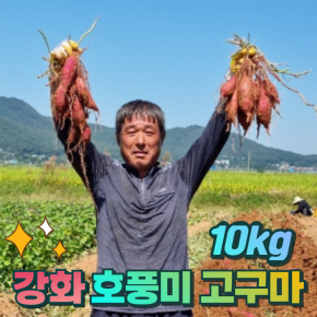 강화도 안제천 햇 호풍미 고구마 10kg 산지직송