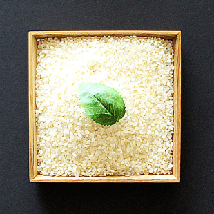 25년 햅쌀 고인돌 쌀20kg(10kg 2개) 고시히카리 강화섬쌀