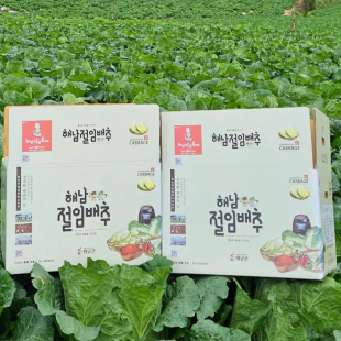 고인돌 김장용 해남 절임배추 20kg HACCP