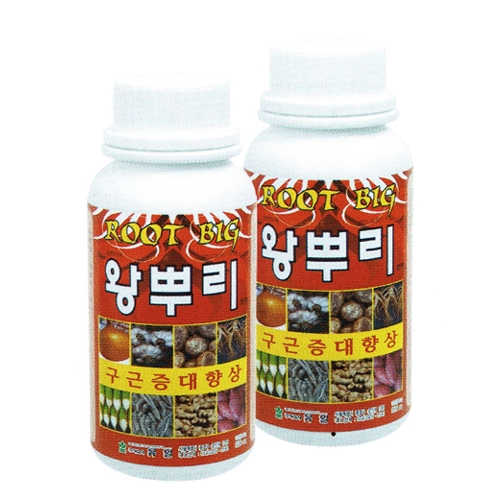 유일 왕뿌리 (500ml) - 구근전문 비대제 감자비료 고구마비료 가을감자 마늘 양파