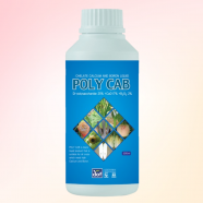 도프 폴리캡 500ml 칼슘 붕소 폴리사카라이드 생리장애