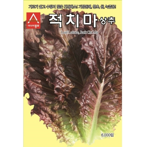 (상추종자씨앗) 아시아적치마(6000립)