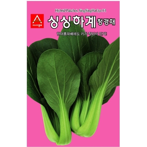 (아시아종묘/청경채종자씨앗) 싱싱하계(2000립,120g,600g)