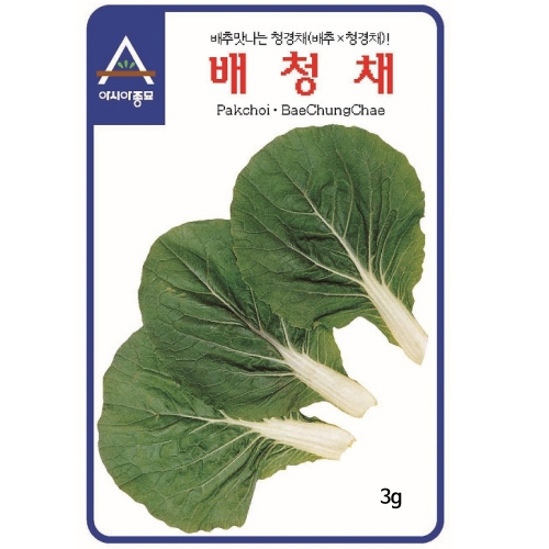 (아시아종묘/청경채종자씨앗) 배청채(3g)