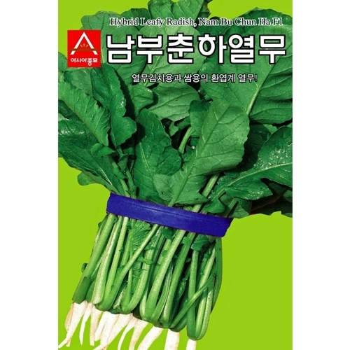 (아시아종묘/열무종자씨앗) 남부춘하열무(20g,500g)