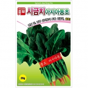 (아시아종묘/시금치종자씨앗) 아시아동초(20g,400g) 월동시금치