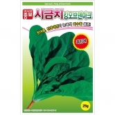 (아시아종묘/시금치종자씨앗) 킹오브덴마크(25g,500g)