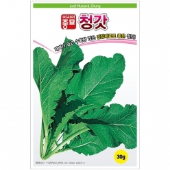 (아시아종묘/갓종자씨앗) 청갓(30g,600g)