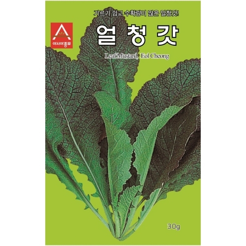 (아시아종묘/갓종자씨앗) 얼청갓(30g)