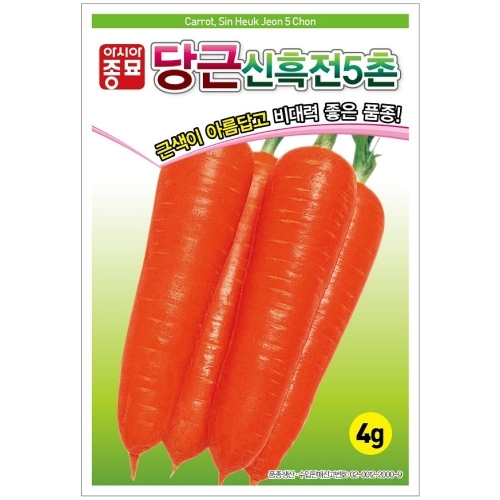 (아시아종묘/당근종자씨앗) 신흑전5촌(4g,80g,400g)