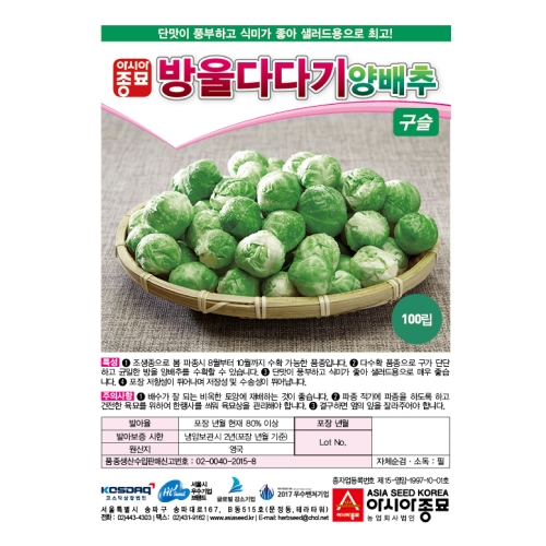 (아시아종묘/방울양배추종자씨앗) 구슬(100립)