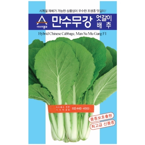 (아시아종묘/엇갈이배추종자씨앗) 만수무강엇갈이(20g,500g)