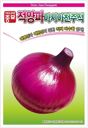 (아시아종묘/양파종자씨앗) 아시아천주적(2.5g,5g,100g)