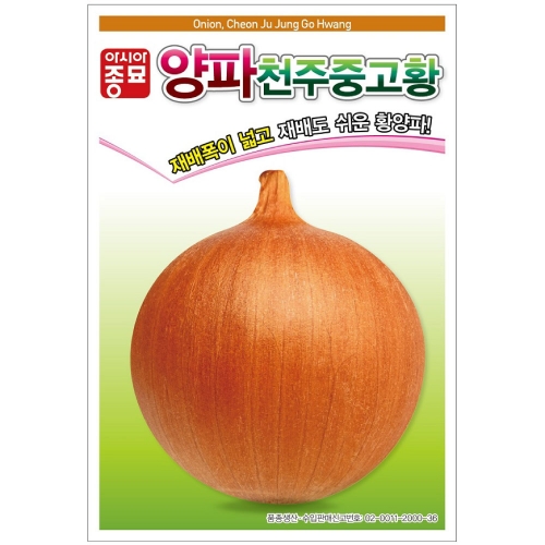(아시아종묘/양파종자씨앗) 천주중고황(5g)