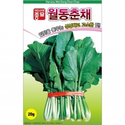 (아시아종묘/순무유채종자씨앗) 월동춘채(500g)