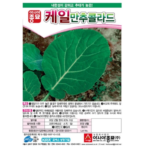 (아시아종묘/케일종자씨앗) 만추콜라드(10g,100g)