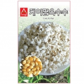 (아시아종묘/옥수수종자씨앗) 케이팝(팝콘옥수수)(400g)