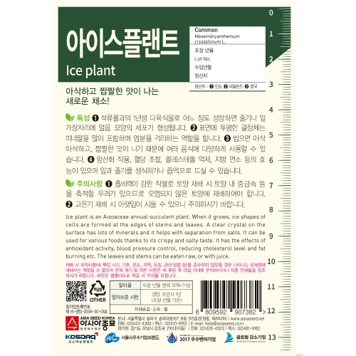 (아시아종묘/허브종자씨앗) 아이스플랜트(500립)