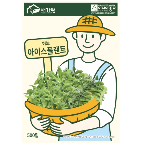 (아시아종묘/허브종자씨앗) 아이스플랜트(500립)