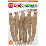 아시아종묘 채소씨앗 - 더덕·양유(3gx3)