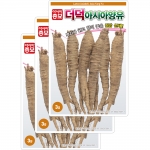 아시아종묘 채소씨앗 - 더덕·양유(3gx3)
