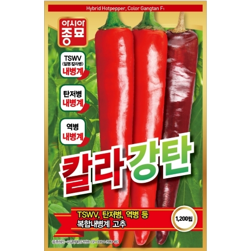 아시아종묘 고추씨앗종자 칼라강탄(1200립)