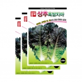 아시아종묘 채소씨앗 - 흑쌈치마상추(3000립x3)