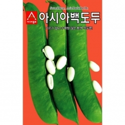 작두콩씨앗 아시아 백도두 작두콩(50g)