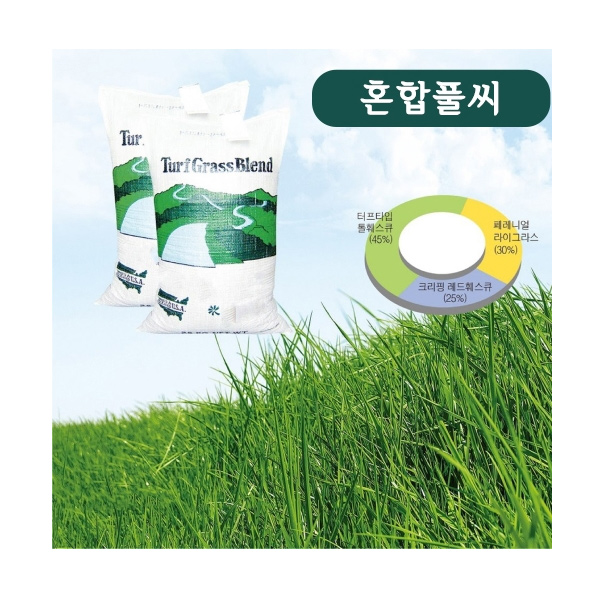 (아시아종묘/잔디씨앗종자) 혼합풀씨(양잔디혼합,혼합잔디) 1kg C27