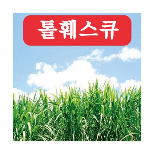 (아시아종묘/잔디씨앗종자) 톨훼스큐(kg) C27