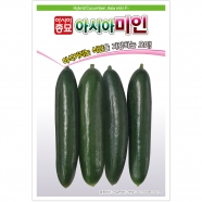 아시아종묘 오이씨앗종자 아시아미인오이 (50립,50립x3)