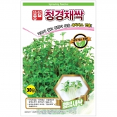 (아시아종묘/새싹종자씨앗) 청경채싹(1kg)