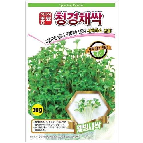 (아시아종묘/새싹종자씨앗) 청경채싹(1kg)