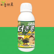 중앙 더큰콩 500ml - 콩 전문 비대제 서리태 검정콩 완두몽 청태