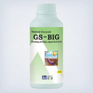 도프 GS빅 500ml 세포분열 활성 비대제 과채류 과수 지에스빅ㄴ
