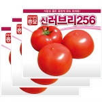아시아종묘 토마토씨앗종자 신러브리256 (20립,1000립)