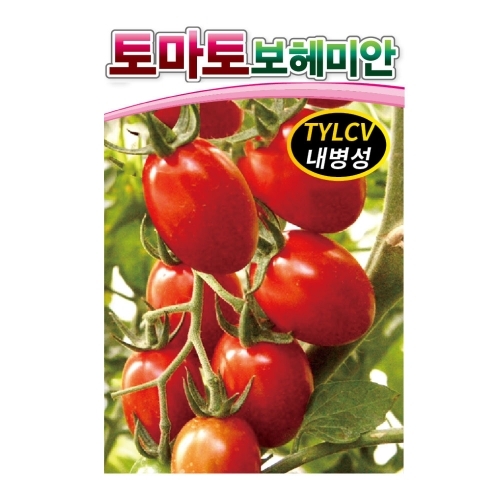 아시아종묘 토마토씨앗종자 보헤미안 (100립,1000립) 대추방울