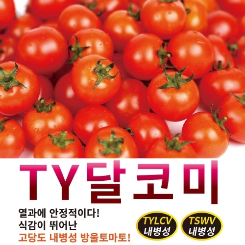 아시아종묘 토마토씨앗종자 TY달코미 (100립,1000립) 방울토마토