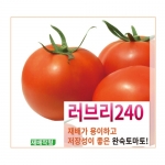 아시아종묘 토마토씨앗종자 러브리240 (1000립)