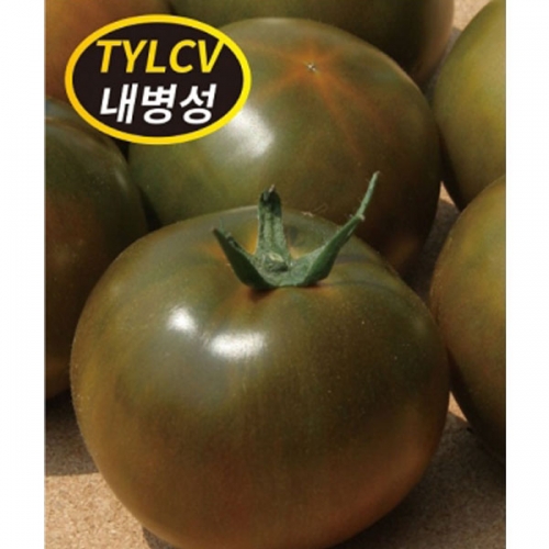 아시아종묘/토마토씨앗종자 TY신흑수 토마토(100립)