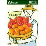 아시아종묘/토마토씨앗종자 모둠대추 방울토마토(20립)