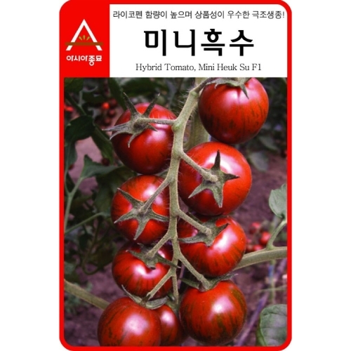 아시아종묘/토마토씨앗종자 미니흑수 토마토(200립)