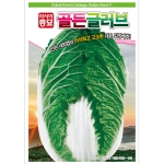 아시아종묘/배추씨앗종자 골든글러브 (100립,1000립,2000립)
