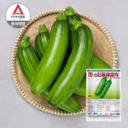 아시아종묘 호박 씨앗 종자 신진동애호박(50립,700립,4000립)