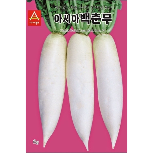 아시아종묘 무씨앗종자 아시아 백춘무 (6g,120g) 봄무