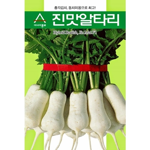 (아시아종묘/알타리종자씨앗) 진맛알타리(20g,500g) 총각김치 동치미무