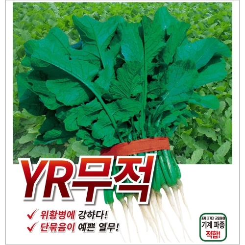 (아시아종묘/무씨앗종자) YR무적(500g)