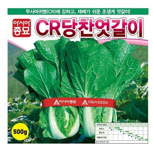 아시아종묘 배추씨앗종자 CR당찬엇갈이(500g)